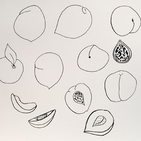 A Rough Sketch of Peaches