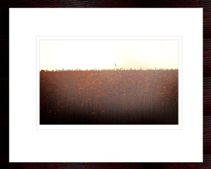 Field Of Hope and Promise archival print in Frame