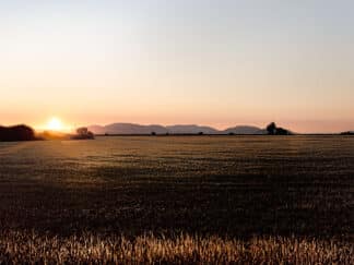 Setting Sun Across An Open Field In Mt Vernon, Washington - Photographic Print