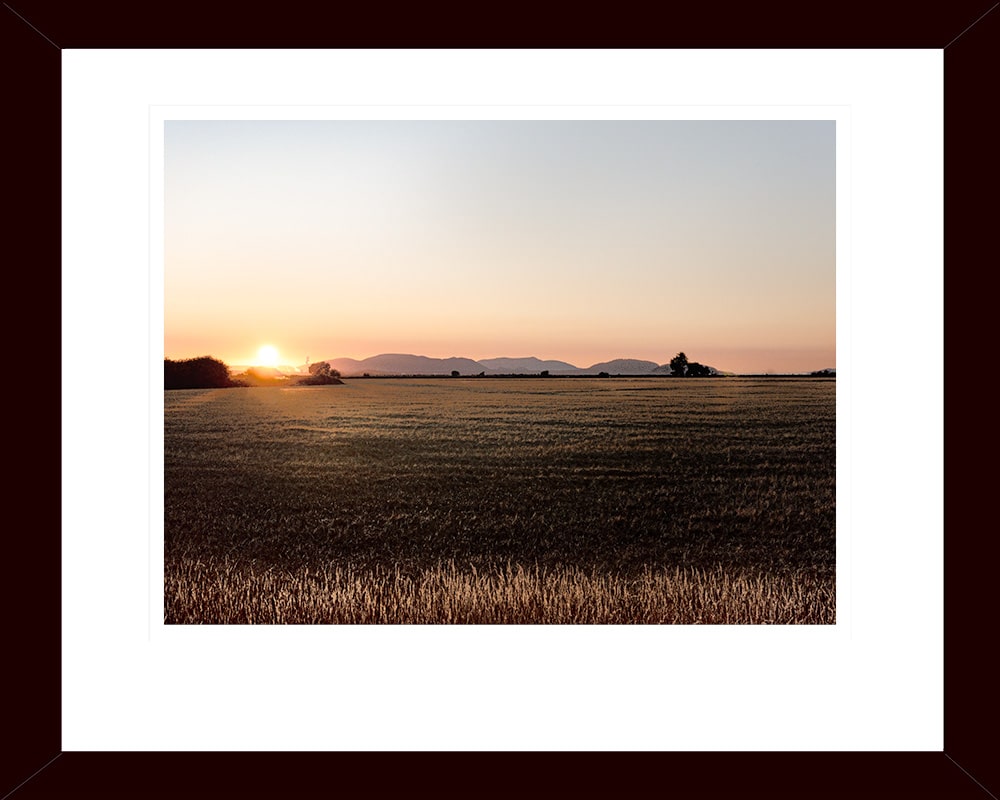 Setting Sun Across An Open Field In Mt Vernon, Washington - Photographic Print - Framed