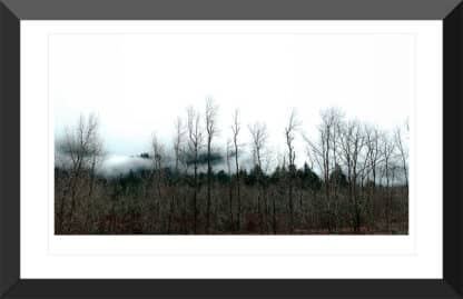 White Sky Black Trees-framed