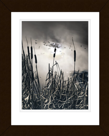 Into Time - Archival Photographic Print - Framed