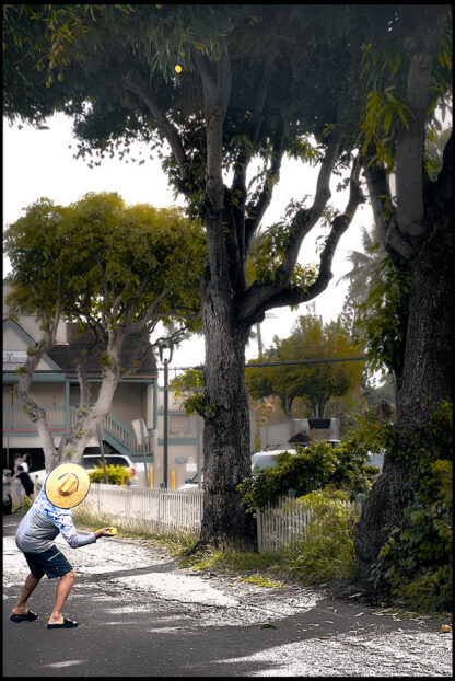 The Mango Hunter - Archival Pigment Print