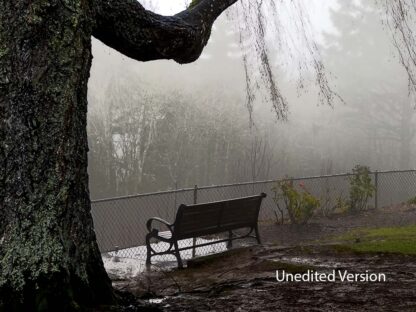 The Fog and the Bench - Unedited Version -Archival Pigment Print