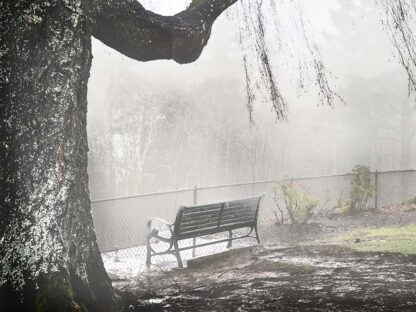 The Fog and the Bench - Archival Pigment Print