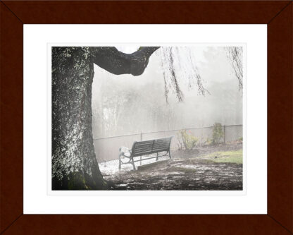 The Fog and the Bench - Archival Pigment Print - Framed